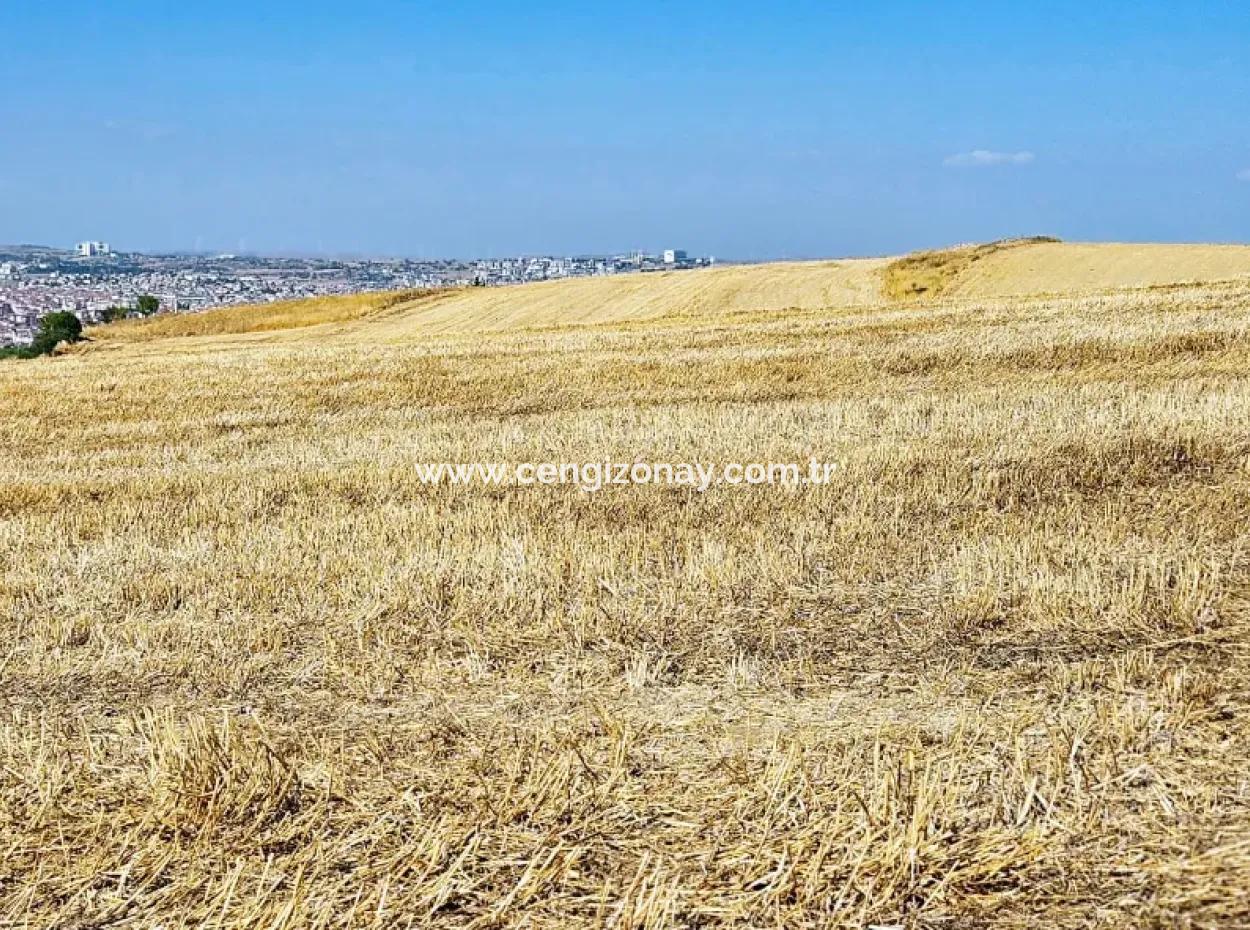 2.650 M2 Villa Zum Dringenden Verkauf In Tekirdag Barbarosta Zoned Coupon Field Geeignet Für Investitionen