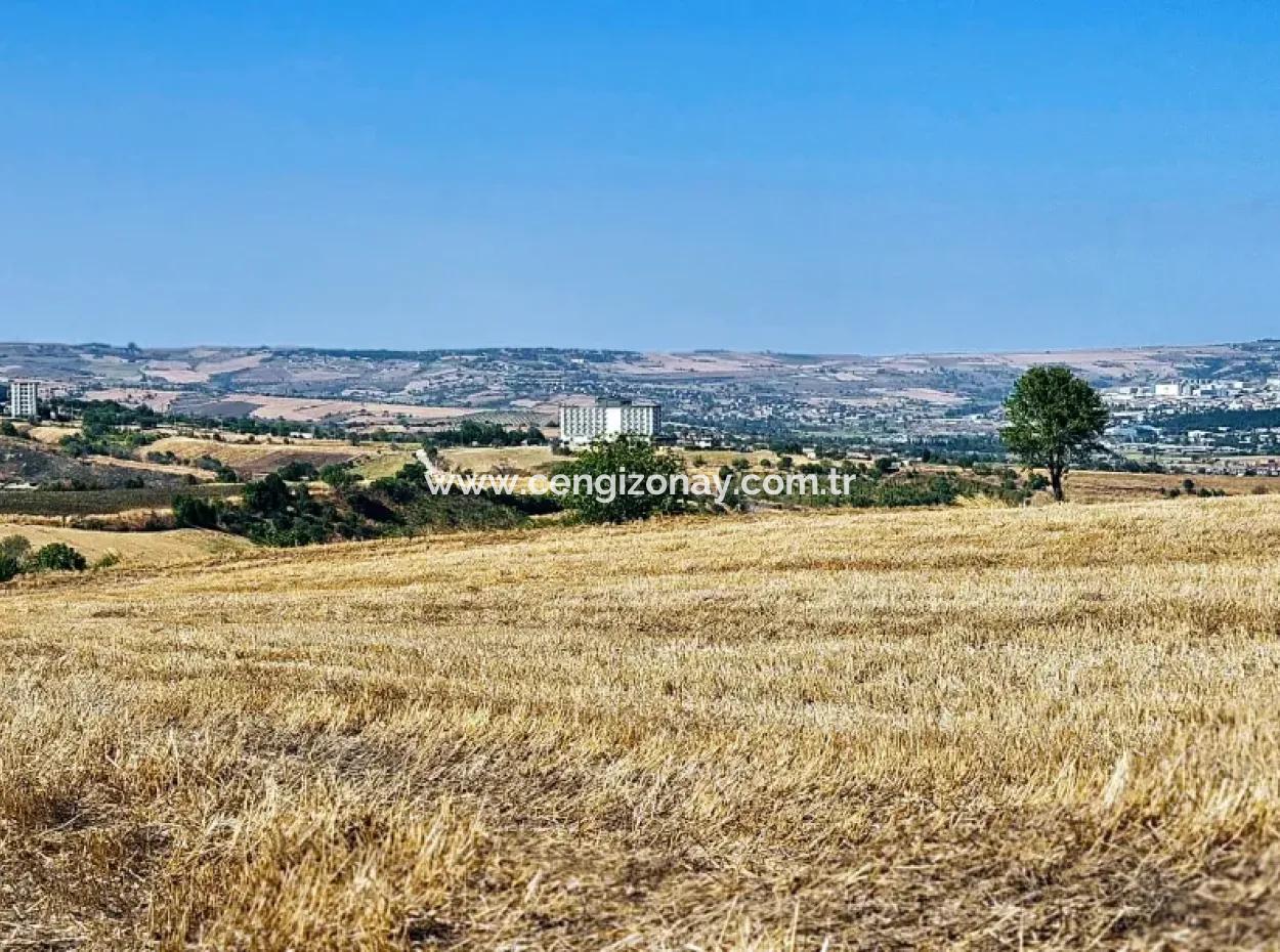 2.650 M2 Villa Zum Dringenden Verkauf In Tekirdag Barbarosta Zoned Coupon Field Geeignet Für Investitionen