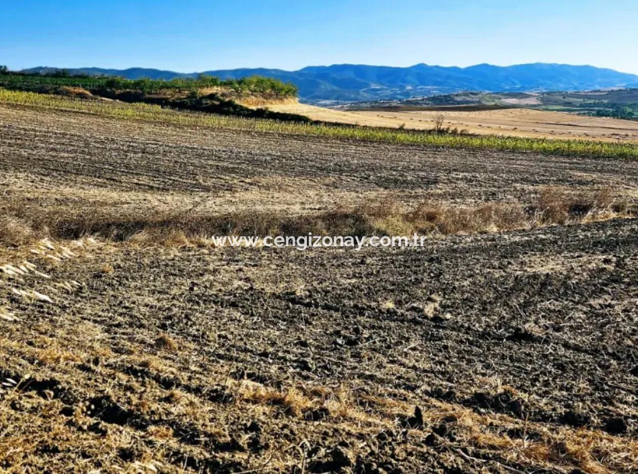 Der Hafen Von Asyaport Liegt Ganz In Der Nähe Der Bestehenden Zonierung Von 17.350 M2 Schnäppchen-Investitionscoupon-Feld Für Den Dringenden Verkauf