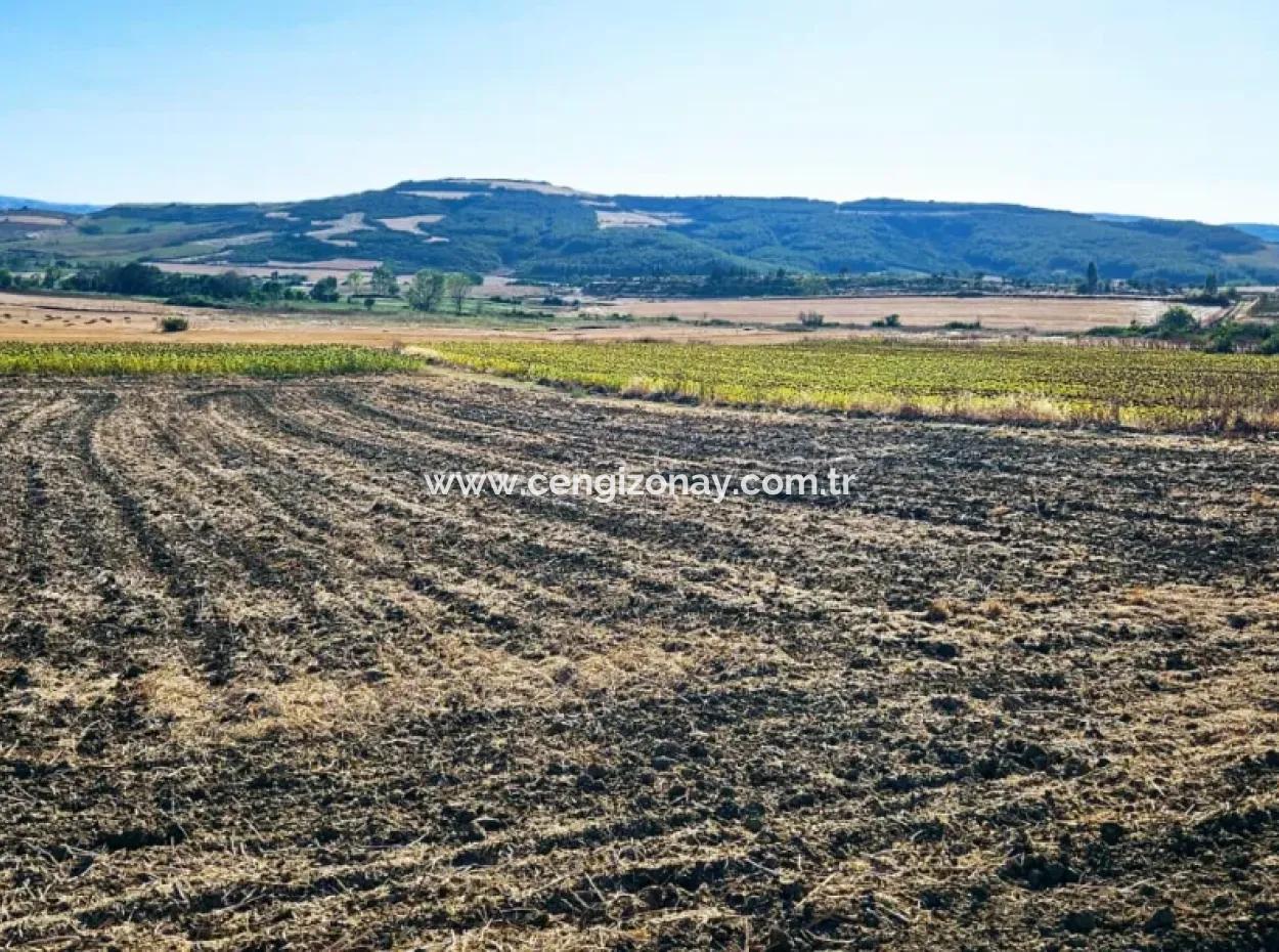 Der Hafen Von Asyaport Liegt Ganz In Der Nähe Der Bestehenden Zonierung Von 17.350 M2 Schnäppchen-Investitionscoupon-Feld Für Den Dringenden Verkauf