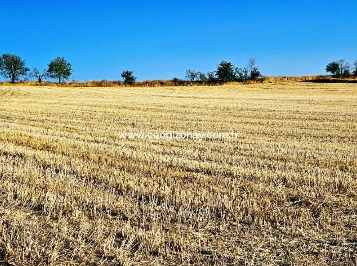 Der Hafen Von Azyaport Liegt In Der Nähe Des Bestehenden Zoning 16.100 Emergency Sale Investment Bargain Coupon-Feldes