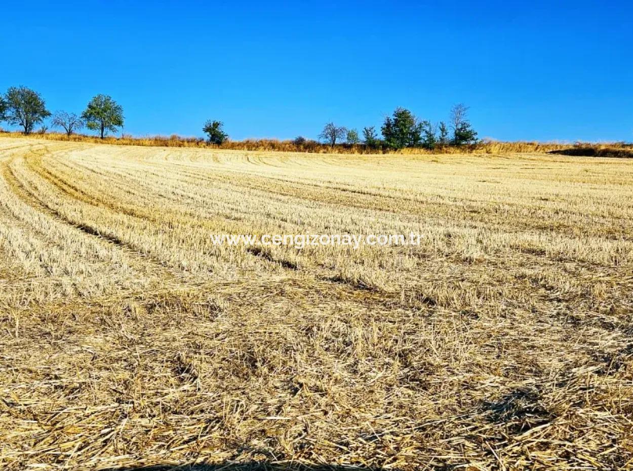 Der Hafen Von Azyaport Liegt In Der Nähe Des Bestehenden Zoning 16.100 Emergency Sale Investment Bargain Coupon-Feldes