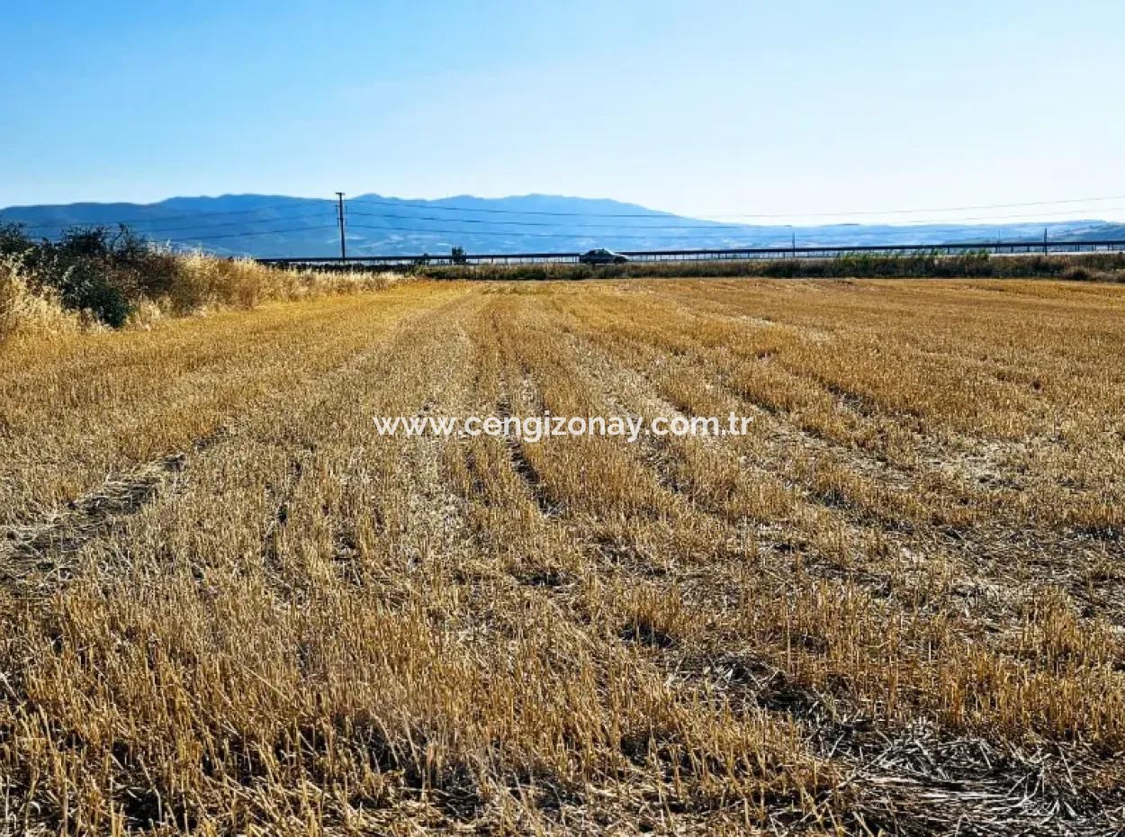 Der Hafen Von Asyaport Liegt Im Rahmen Des Aktuellen Bebauungsplans (