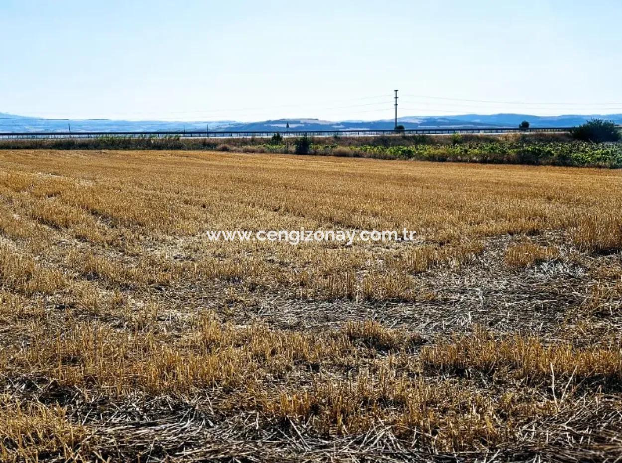 Der Hafen Von Asyaport Liegt Im Rahmen Des Aktuellen Bebauungsplans (