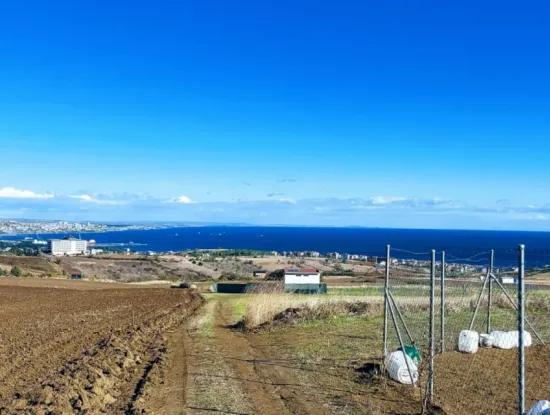 Bewerben Sie Sich Für Ein Luxusvillen-Projekt Zum Dringenden Verkauf, Bieten Sie Eine Hohe Lage In Kaznç, Einen Herrlichen, Vollständig Vollen Blick Auf Das Meer Und Die Natur