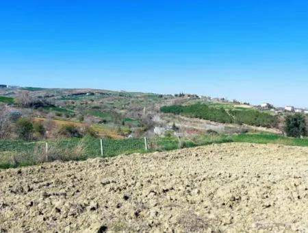 Investitionsmöglichkeit: 615 M2 Eckgrundstück Zum Verkauf In Tekirdag Barbaros - Dringender Verkauf, Meer- Und Naturblick, 0 Zonenbu Harika Konumda Ve 615 M2 Genişliğindeki Acil Satılık Köşe Arsa, Yatırımcılar Için Muazz