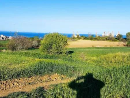 Investitionsmöglichkeit: 615 M2 Eckgrundstück Zum Verkauf In Tekirdag Barbaros - Dringender Verkauf, Meer- Und Naturblick, 0 Zonenbu Harika Konumda Ve 615 M2 Genişliğindeki Acil Satılık Köşe Arsa, Yatırımcılar Için Muazz