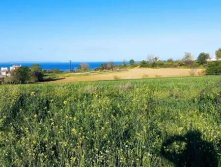 Investitionsmöglichkeit: 615 M2 Eckgrundstück Zum Verkauf In Tekirdag Barbaros - Dringender Verkauf, Meer- Und Naturblick, 0 Zonenbu Harika Konumda Ve 615 M2 Genişliğindeki Acil Satılık Köşe Arsa, Yatırımcılar Için Muazz