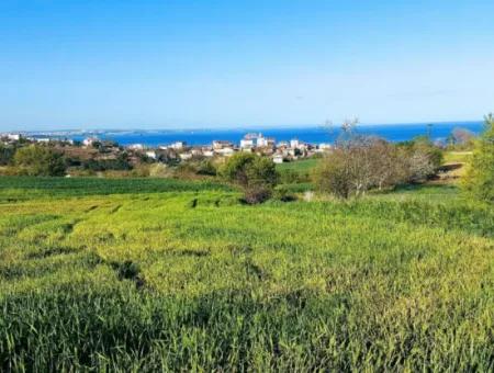 Investitionsmöglichkeit: 615 M2 Eckgrundstück Zum Verkauf In Tekirdag Barbaros - Dringender Verkauf, Meer- Und Naturblick, 0 Zonenbu Harika Konumda Ve 615 M2 Genişliğindeki Acil Satılık Köşe Arsa, Yatırımcılar Için Muazz