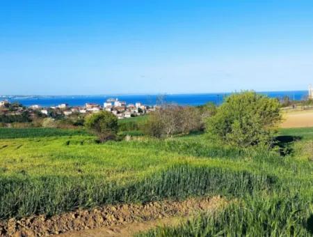 Investitionsmöglichkeit: 615 M2 Eckgrundstück Zum Verkauf In Tekirdag Barbaros - Dringender Verkauf, Meer- Und Naturblick, 0 Zonenbu Harika Konumda Ve 615 M2 Genişliğindeki Acil Satılık Köşe Arsa, Yatırımcılar Için Muazz
