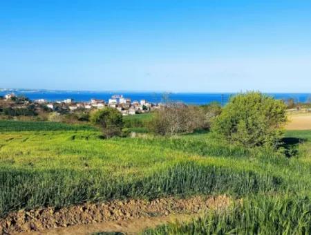 Investitionsmöglichkeit: 615 M2 Eckgrundstück Zum Verkauf In Tekirdag Barbaros - Dringender Verkauf, Meer- Und Naturblick, 0 Zonenbu Harika Konumda Ve 615 M2 Genişliğindeki Acil Satılık Köşe Arsa, Yatırımcılar Için Muazz