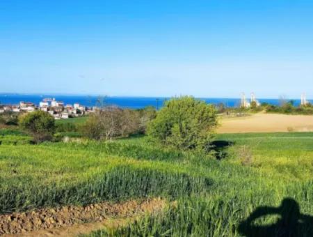 Investitionsmöglichkeit: 615 M2 Eckgrundstück Zum Verkauf In Tekirdag Barbaros - Dringender Verkauf, Meer- Und Naturblick, 0 Zonenbu Harika Konumda Ve 615 M2 Genişliğindeki Acil Satılık Köşe Arsa, Yatırımcılar Için Muazz