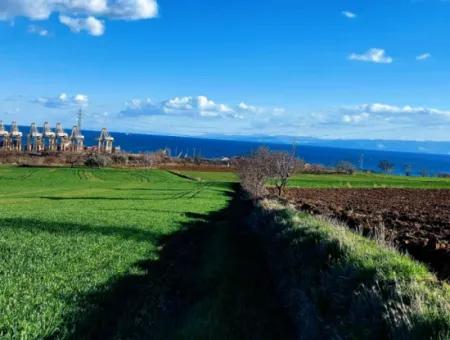 17 980 M2 Feld Zum Verkauf In Der Nähe Des Hafens Von Tekirdag Barbaros Asyaport