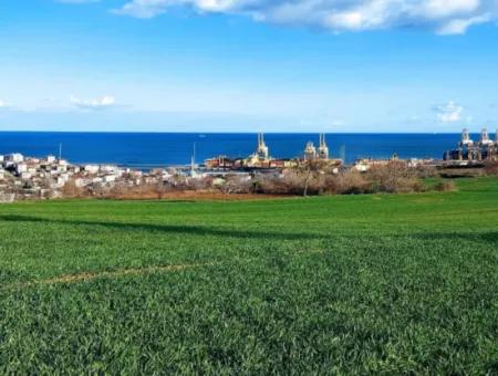 17 980 M2 Feld Zum Verkauf In Der Nähe Des Hafens Von Tekirdag Barbaros Asyaport