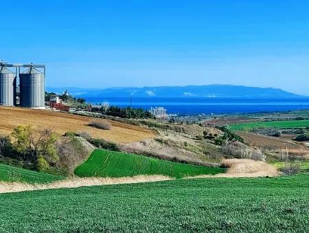 Grundstück Zum Verkauf Auf 19.500 Quadratmetern Gewerbe- Und Industriegebiet Im Nusuratlı-Gebiet Von Tekirdağ