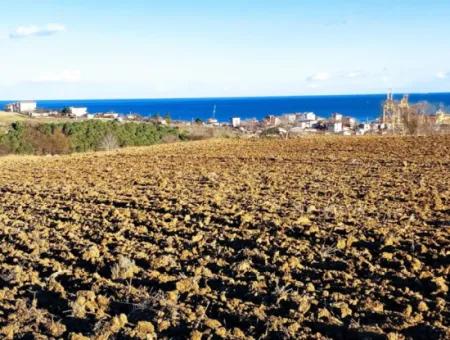 17.100 M2 Wohngebiet Mit Herrlicher Aussicht, In Der Nähe Des Hafens Tekirdağ Barbaros Asyaport