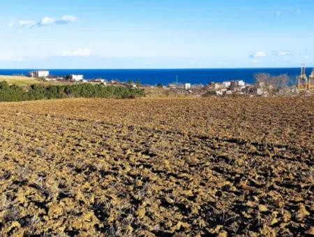 17.100 M2 Wohngebiet Mit Herrlicher Aussicht, In Der Nähe Des Hafens Tekirdağ Barbaros Asyaport