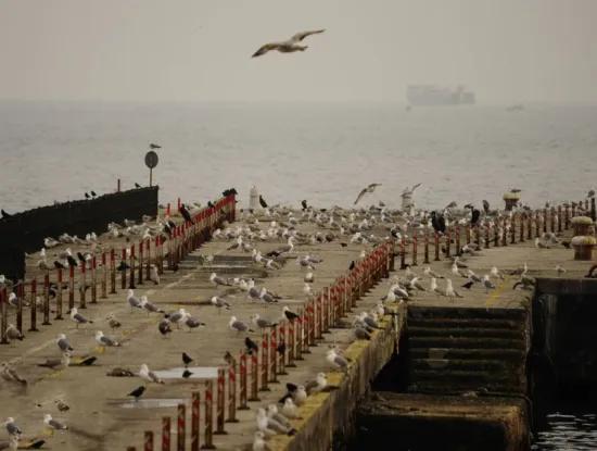 Bezirk Tekirdağ Süleymanpaşa