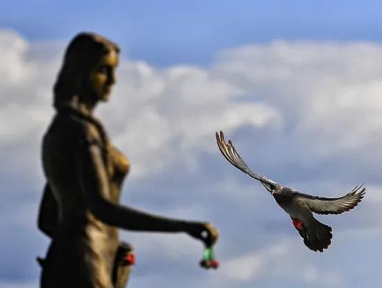 Bezirk Tekirdağ Süleymanpaşa