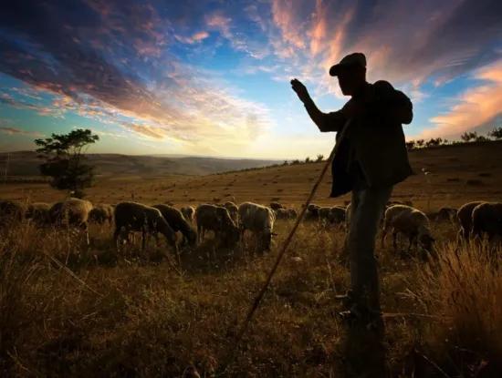 Tekirdağ Zu Verkaufen, Zu Vermieten, Grundstück, Feld, Wohnung, Einfamilienhaus, Hotel, Villa, Hotel, Msc Asya Hafen, Zoniert, Kelepir, Meer, Natur, Landschaft, Fertighaus