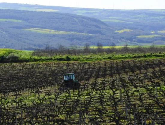 Tekirdağ Süleymanpaşa District