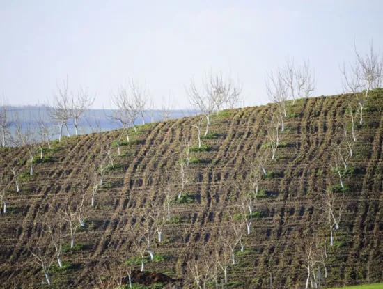 Tekirdağ Süleymanpaşa District