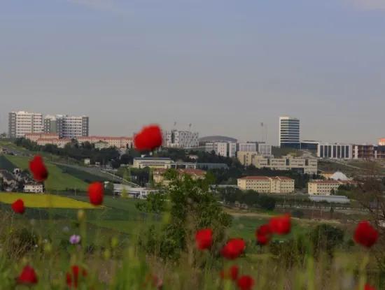 Tekirdağ Süleymanpaşa District