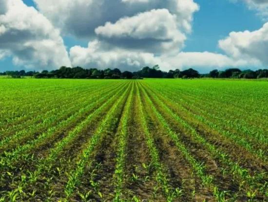 Tekirdag Suleymanpasa Ataturk Mahallesi