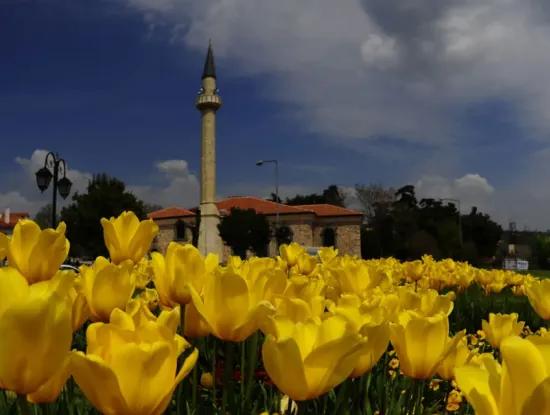 Tekirdag Suleymanpasa Barbaros, Kumbag Apart