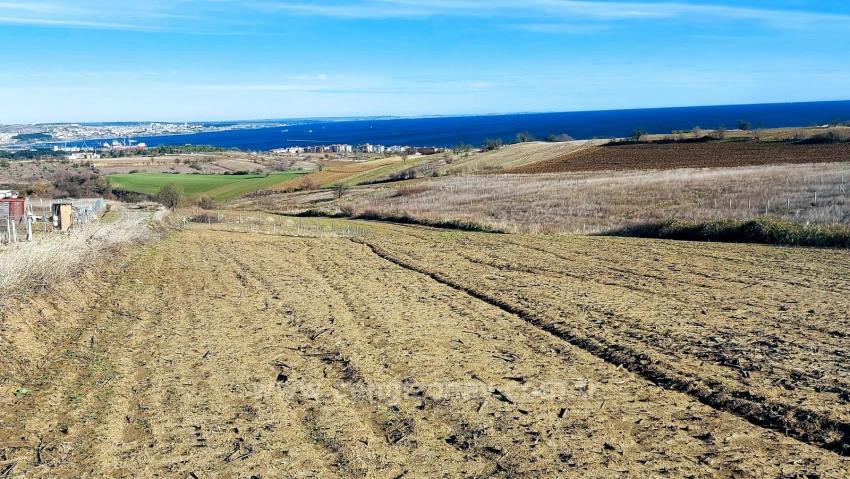 Bargain Plot Of Land With Full Sea, Nature And City Views, Zoned For 20% Two-Story Construction.