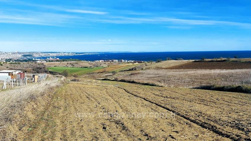 Bargain Plot Of Land With Full Sea, Nature And City Views, Zoned For 20% Two-Story Construction.