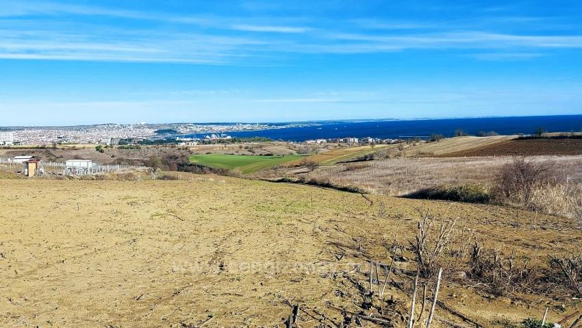 Bargain Plot Of Land With Full Sea, Nature And City Views, Zoned For 20% Two-Story Construction.