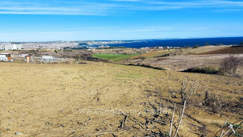 Bargain Plot Of Land With Full Sea, Nature And City Views, Zoned For 20% Two-Story Construction.