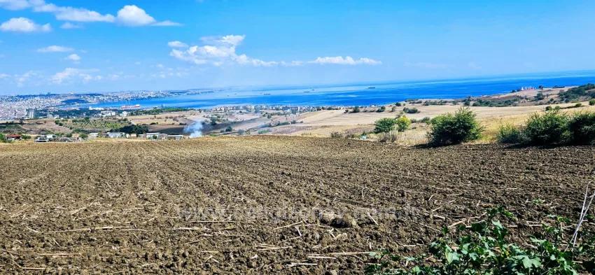 Land For Sale in Barbaros Nbh. Süleymanpaşa Kumbağ - Villa Zoned - 405 m²