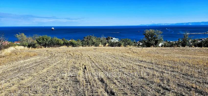 A Prime Plot Of Land Suitable For A Project Of 2 Luxury Villas With Full Sea And Nature Views.