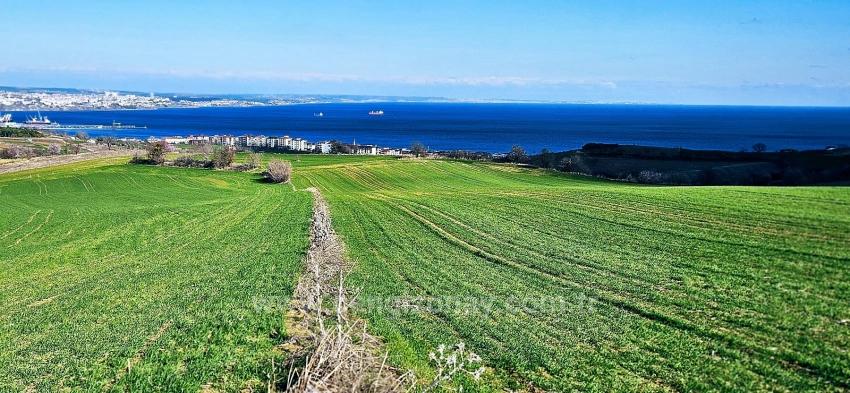 Terrain For Sale in Barbaros Nbh. Süleymanpaşa Kumbağ - Housing Zoned - 34.500 m²