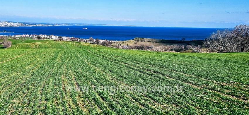 Terrain For sale in Barbaros Nbh. Süleymanpaşa Kumbağ - Housing Zoned - 19.533 m²