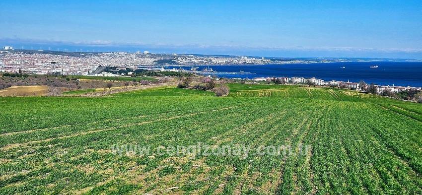 Terrain For sale in Barbaros Nbh. Süleymanpaşa Kumbağ - Housing Zoned - 19.533 m²