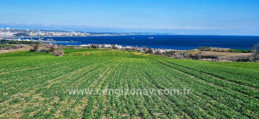 Terrain For sale in Barbaros Nbh. Süleymanpaşa Kumbağ - Housing Zoned - 19.533 m²