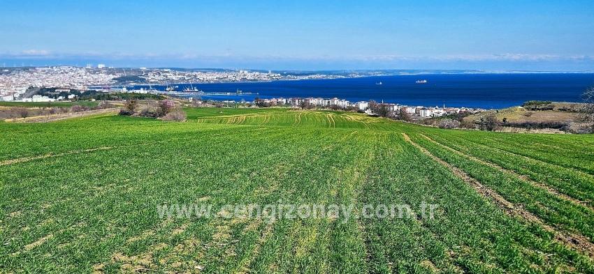 Terrain For sale in Barbaros Nbh. Süleymanpaşa Kumbağ - Housing Zoned - 19.533 m²