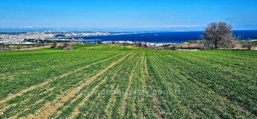 Land With Full Sea And Nature View Suitable For 75 Villa Projects In Tekirdağ Barbarosta