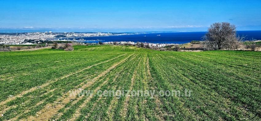 Terrain For sale in Barbaros Nbh. Süleymanpaşa Kumbağ - Housing Zoned - 19.533 m²