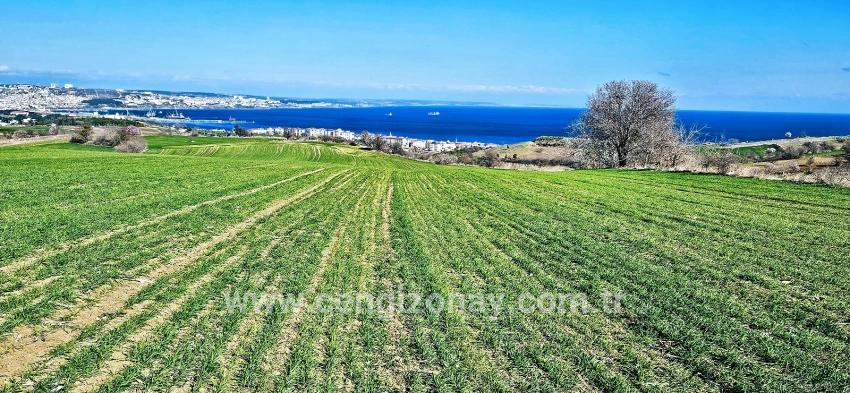 Terrain For sale in Barbaros Nbh. Süleymanpaşa Kumbağ - Housing Zoned - 19.533 m²