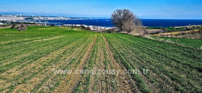 Terrain For sale in Barbaros Nbh. Süleymanpaşa Kumbağ - Housing Zoned - 19.533 m²