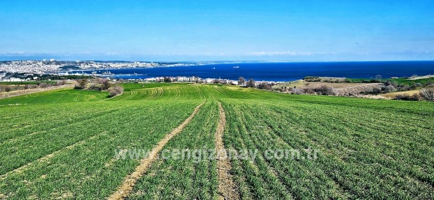 Terrain For sale in Barbaros Nbh. Süleymanpaşa Kumbağ - Housing Zoned - 19.533 m²