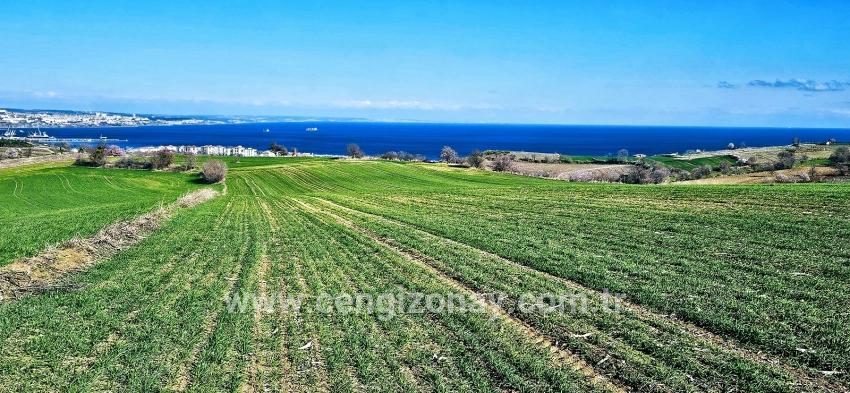 Terrain For sale in Barbaros Nbh. Süleymanpaşa Kumbağ - Housing Zoned - 19.533 m²