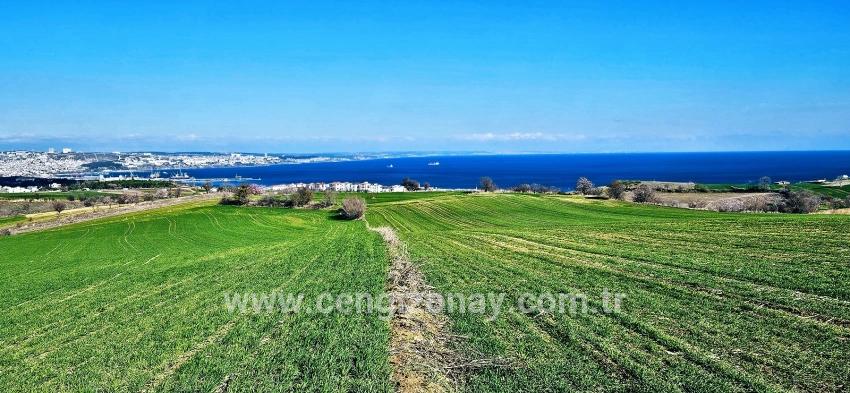 Terrain For sale in Barbaros Nbh. Süleymanpaşa Kumbağ - Housing Zoned - 19.533 m²