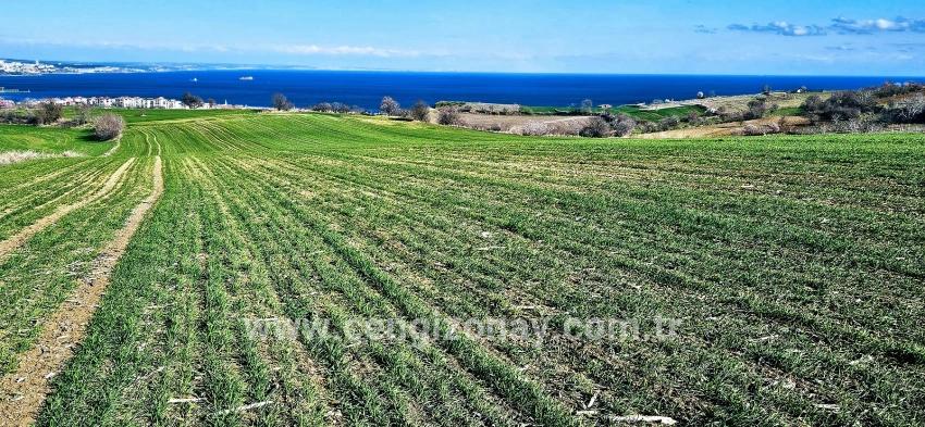 Terrain For sale in Barbaros Nbh. Süleymanpaşa Kumbağ - Housing Zoned - 19.533 m²