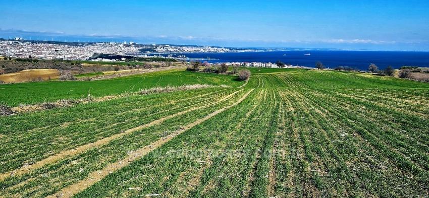 Land With Full Sea And Nature View Suitable For 75 Villa Projects In Tekirdağ Barbarosta