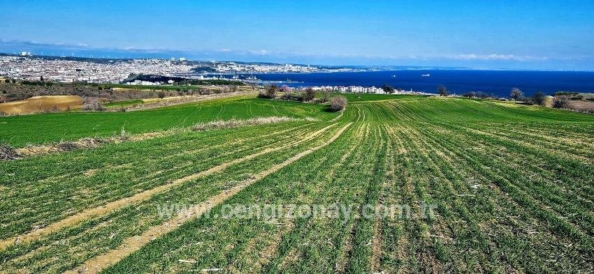 Terrain For sale in Barbaros Nbh. Süleymanpaşa Kumbağ - Housing Zoned - 19.533 m²